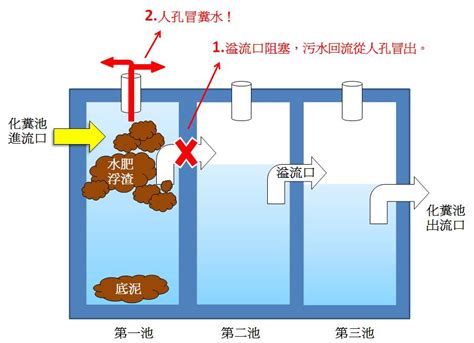 社區化糞池|為什麼現在的「化糞池」不會「化糞」？